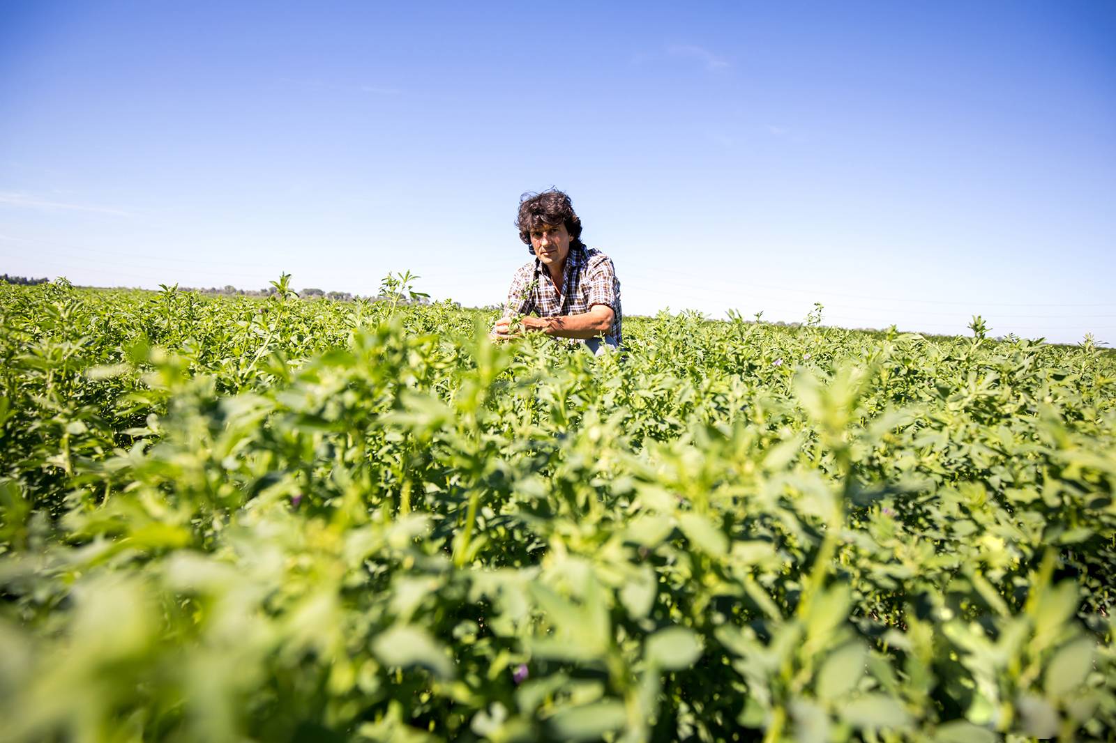 Storia, filosofia e valori di Open Farm